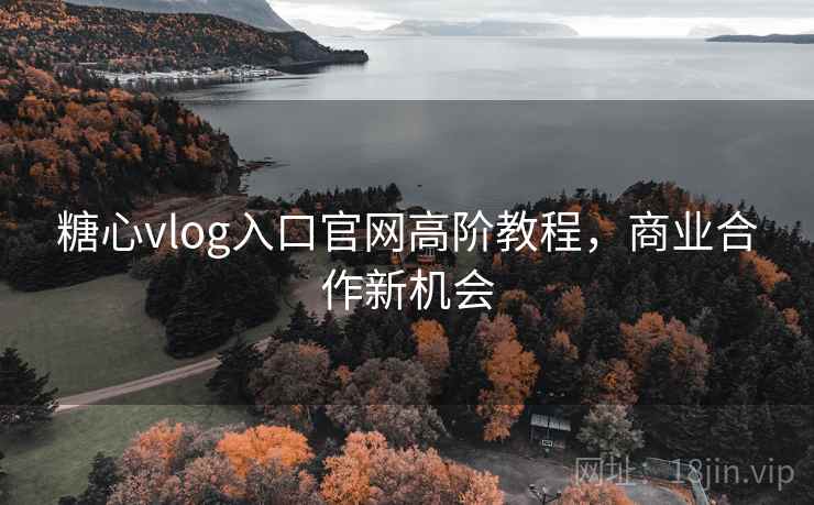 糖心vlog入口官网高阶教程，商业合作新机会